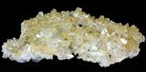 Plate Of Gemmy, Chisel Tipped Barite Crystals - Mexico #78137-2